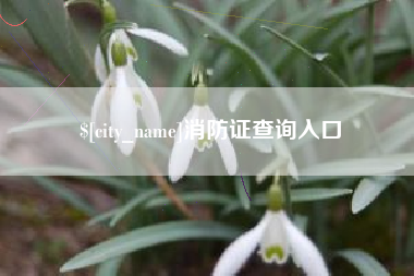 敦煌消防证查询入口