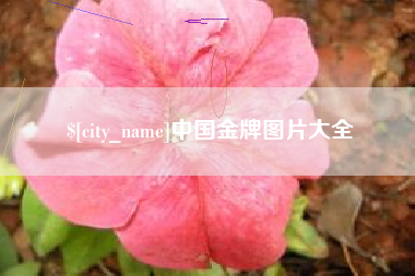 敦煌中国金牌图片大全