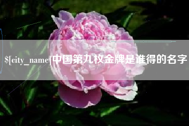 敦煌中国第九枚金牌是谁得的名字