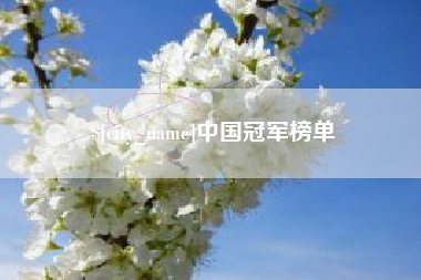 敦煌中国冠军榜单