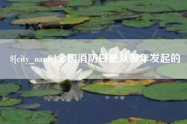 敦煌全国消防日是从哪年发起的