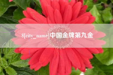 敦煌中国金牌第九金