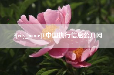 敦煌1.中国执行信息公开网