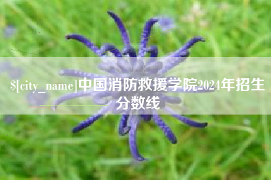 敦煌中国消防救援学院2024年招生分数线