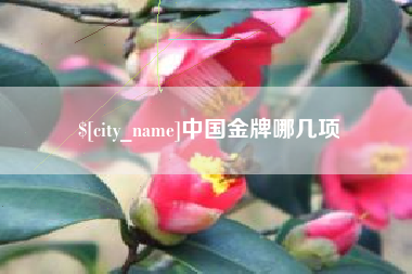 敦煌中国金牌哪几项