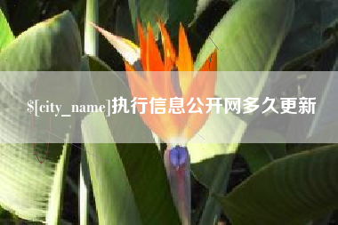 敦煌执行信息公开网多久更新