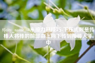 敦煌60米接力赛技巧-下压式则是传棒人将棒的前部由上向下传到接棒人手中