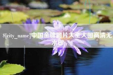 敦煌中国金牌图片大全大图高清无水印