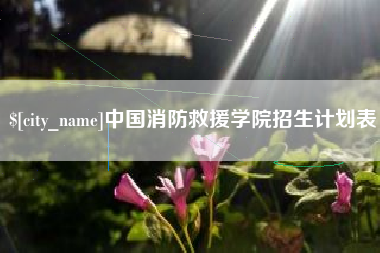 敦煌中国消防救援学院招生计划表