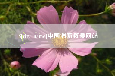 敦煌中国消防救援网站