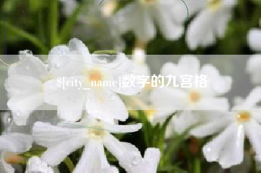 敦煌数字的九宫格