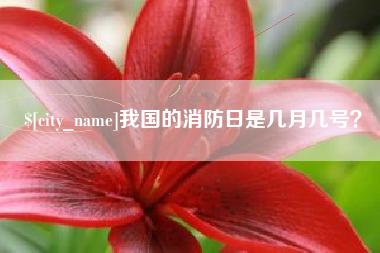 敦煌我国的消防日是几月几号？