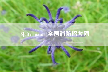 敦煌全国消防招考网