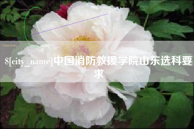 敦煌中国消防救援学院山东选科要求