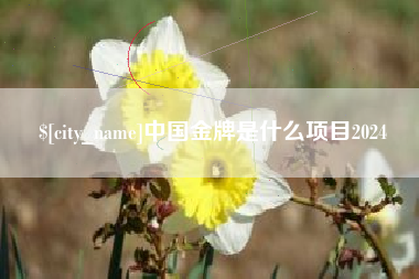 敦煌中国金牌是什么项目2024