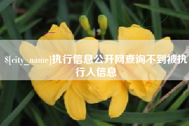 敦煌执行信息公开网查询不到被执行人信息