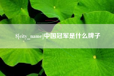 敦煌中国冠军是什么牌子