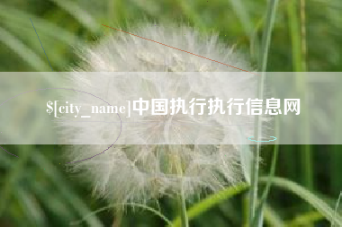 敦煌中国执行执行信息网