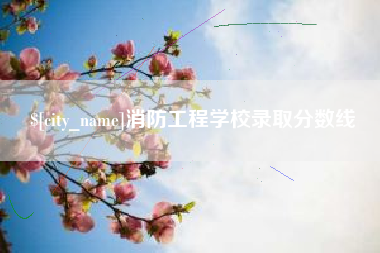 敦煌消防工程学校录取分数线