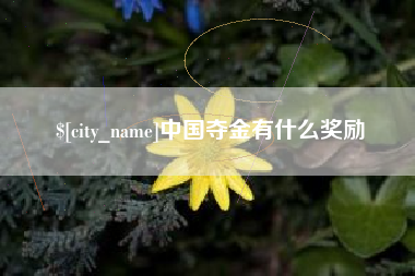 敦煌中国夺金有什么奖励