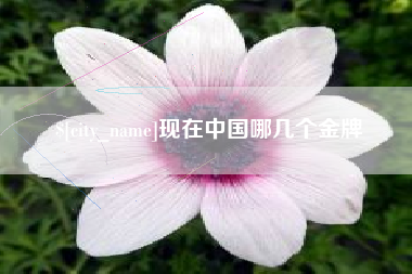 敦煌现在中国哪几个金牌
