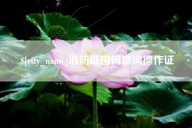 敦煌消防证国网查询操作证