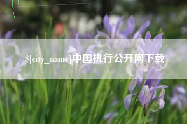 敦煌中国执行公开网下载