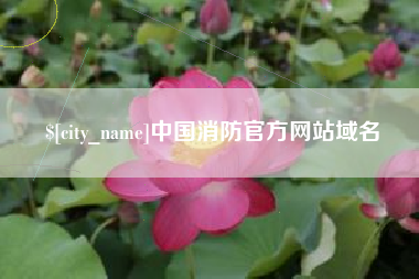 敦煌中国消防官方网站域名