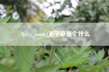 敦煌王子豪是个什么