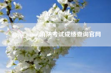 敦煌消防考试成绩查询官网