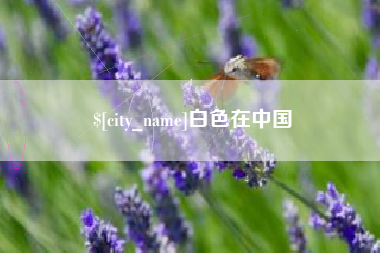 敦煌白色在中国
