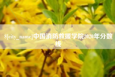 敦煌中国消防救援学院2020年分数线
