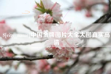 敦煌中国金牌图片大全大图真实高清