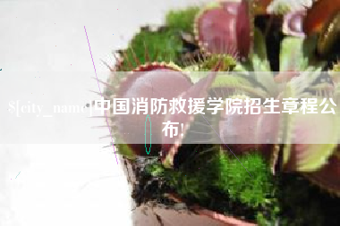 敦煌中国消防救援学院招生章程公布!