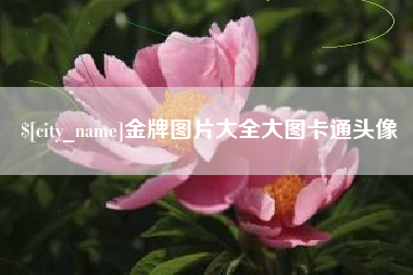 敦煌金牌图片大全大图卡通头像