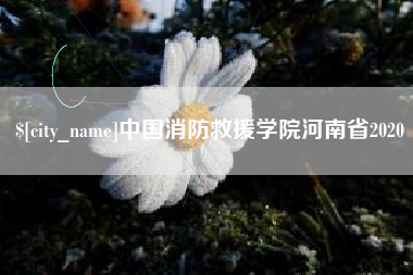 敦煌中国消防救援学院河南省2020